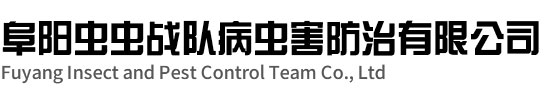 阜陽(yáng)蟲蟲戰(zhàn)隊(duì)病蟲害防治有限公司
